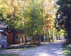 petersons rental cottages ontonagon michigan
