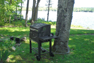 Charcoal grill