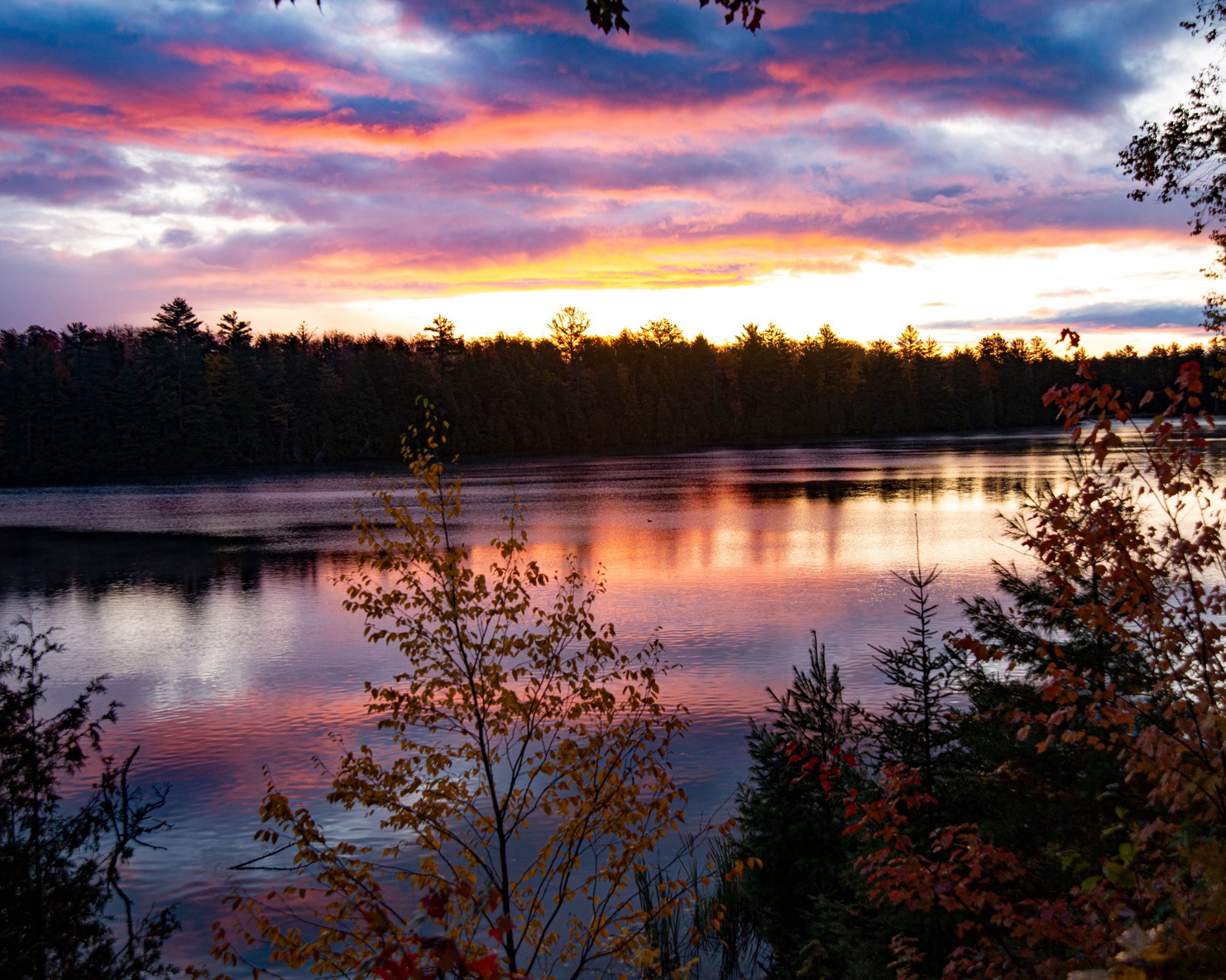 Lake in the fall