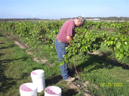 Michigan winery Upper Peninsula